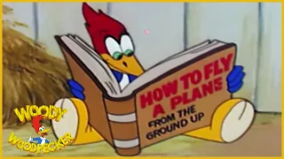 Woody Woodpecker | Ace in the Hole | Old Cartoon | Woody Woodpecker Full Episodes | Videos for Kids