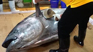 Giant Bluefin Tuna Cutting Skills / 巨大黑鮪魚切割技能 - Bluefin Tuna Cutting Show in Taiwan