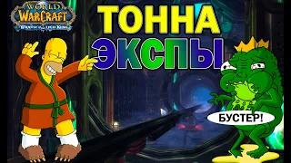 Вииигодный буст с 77по 80 лвл в WOTLK Classic