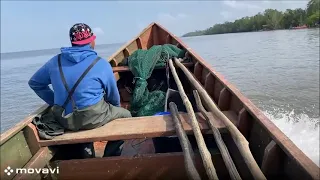 Fishing in saramacca river  Pt 2