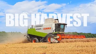 Wielkie Żniwa 2021! | Claas Lexion 580+ & NH T7 AC | Rol - Team |