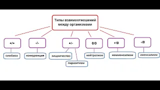 День 4. Тема 2. Типы взаимоотношений между организмами