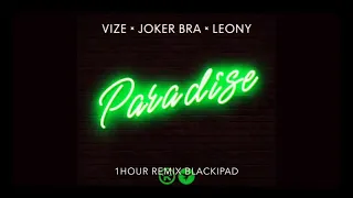 VIZE x Joker Bra x Leony -Paradise (1 hour remix / BLACKBLINK) VIZE #JokerBra #Paradise 💚