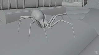 Spider Animation