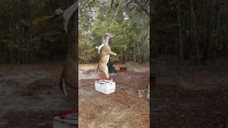 How to skin a deer the redneck way