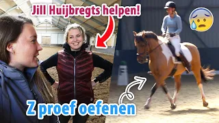 Oefendressuur Z proef & dit maakt mij onzeker met rijden... | felinehoi VLOG #475