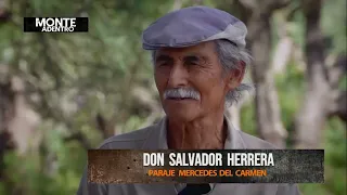 📺 Salvador Herrera