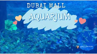 Exploring The Biggest Aquarium and Underwater Zoo in UAE|| Dubai Mall Part 2 || Vlog72