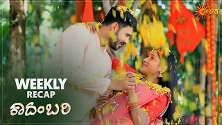 Kadambari | Ep 43 - 48 | Weekly Recap | Udaya TV | Kannada Serial