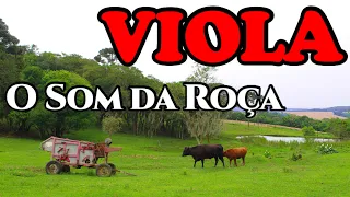 A VIOLA ENFEITA O SOM DO MUNDO CAIPIRA EM PROSA POESIA E MODÃO RAIZ