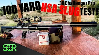 AEA Challenger Pro .30 with NSA Slugs at 100 YARDS - 138 FOOT POUNDS!