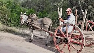 HOMBRE CAMPESINO vive en una COLONIA RURAL AISLADO de TODO, pero en SU TIERRA/Pampa el Zorro- Chaco