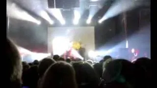 Amatory & Animal ДжаZ - Три полоски (Санкт-Петербург, 19.12.2010)