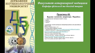 Фізіологія. Практика 49.  Будова синапсів.  Медіатори.  Парабіоз