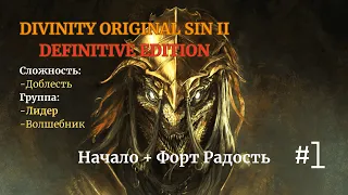 Прохождение Divinity: Original Sin II[DE]. Доблесть. #1