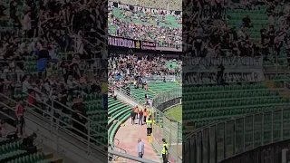 Palermo Ascoli contestazione tifosi