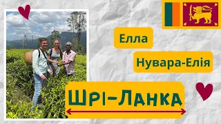 Шрі-Ланка: Елла, Нувара-Елія. Чайні плантації, сафарі Udawalawe, Pinnawala, Дев'ятиарочний міст.