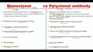 | Monoclonal and polyclonal antibody differences   |          | Monoclonal vs Polyclonal antibody |