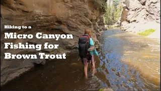 Hiking to a Micro Canyon in Search of Wild Brown Trout