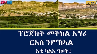 ማህደር፡ ፕሮጀክት መትከል እግሪ ርእስ ንምኽኣል - እቲ ካልእ ዓወት! | mahder -  ERi-TV