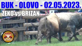 ZEKO (vl. Boki Tanasic) - BRIZAN (vl. Mire Pejzic) - BUK - OLOVO - 02.05.2023.