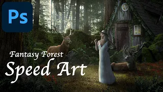 photoshop Speed Art Manipulation Fantasy Forest