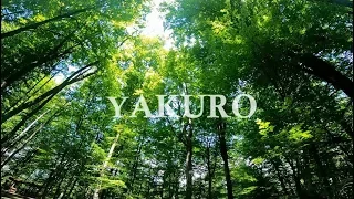 Yakuro - Hymn Of Forest