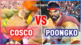 SF6 🔥  Cosco (Blanka) vs PoongKo (Ryu)  🔥 Street Fighter 6