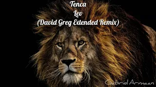 Tenca - Lev (David Greg Extended Remix)