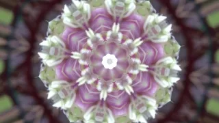 Flower Kaleidoscope Relaxation - Ease Mental Tension - Relaxation music