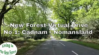 A New Forest driving tour from Cadnam to Nomansland - New Forest Virtual Tours