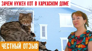 Честный отзыв о жизни в каркасном доме: дорого ли топить, нужна ли вентиляция, и что там по мышам