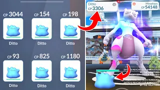 3000+ Shiny Ditto team vs Shadow Mewtwo raid in Pokemon go.