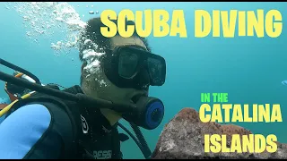 FIRST TIME SCUBA DIVING IN THE CATALINAS (COSTA RICA)