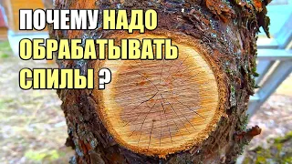 Микротрещины на спиле.