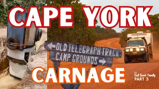 Cape York Carnage: Unexpected Crash on Gunshot Track - What Would You Do?