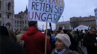 Budapest Demo Feb2015