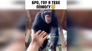 Лучшие приколы, Funny people, ТЕСТ НА ПСИХИКУ, BEST COUB Смешное  минут смеха