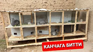 КУЙОНХОНА КУРИШ, ВА КУЙОН БОКИШ БИЗНЕСИ