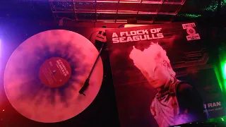 A Flock Of Seagulls - I Ran- Best Of Remixed (Limited Edition Splatter Colored Vinyl Audio)