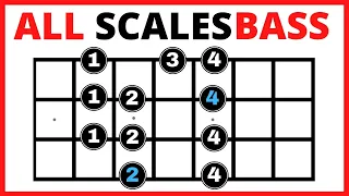 ✅ Bass Guitar Scales for Beginners 💥【All You Need to Know】✅ Bass Scales Patterns