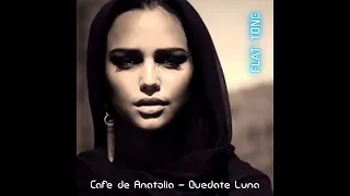 [snippet] Cafe De Anatolia - Quedate Luna (Flat Tone ReMix)