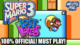 The REAL LOST LEVELS Of Super Mario Bros. 3! YOU NEVER PLAYED THESE 38 STAGES!