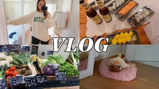 LIFE IN ITALY VLOG | Brandy Melville Haul, Como, Grocery Haul