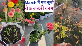 मार्च में ये 5 ज़रूरी काम बिल्कुल मत भूलना ||March Garden Works And Plant Care Tips ||Summer Flowers