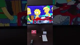 The Simpsons Bart vs lisa