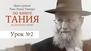 Несколько душ или несколько частей одной души? Рав Элияу Тавгер, уроки по книге "Тания". Урок №2