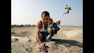 This Man Planted A Tree Every Day On A Remote Island For 40 Years ,You Won’t Recognize The Place Now