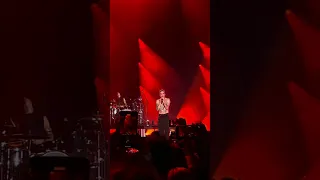 VALENTINE - Måneskin Live in Brisbane (20.11.2023)