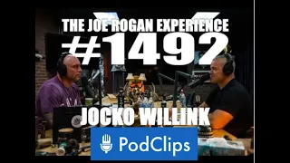 Why Jocko Willink Is Against Defunding the Police | Joe Rogan